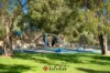 36  Westhall Street, Wellard, WA 6170-Image