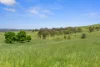 360 Quarry Road, Polish Hill River, SA 5453-Image