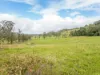 361 Boyle Road, Koonorigan, NSW 2480-Image