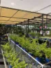 361 Polo Road, Goondiwindi, Qld 4390-Image
