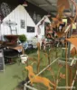 361 Polo Road, Goondiwindi, Qld 4390-Image