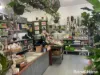361 Polo Road, Goondiwindi, Qld 4390-Image