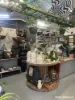 361 Polo Road, Goondiwindi, Qld 4390-Image