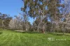 361 Tschampions Road, Macclesfield, Vic 3782-Image