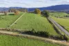 36143 Tasman Highway, Springfield, Tas 7260-Image