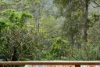 362 Boundary Creek Road, Bentley, NSW 2480-Image