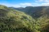 362 Boundary Creek Road, Bentley, NSW 2480-Image