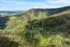 362 Boundary Creek Road, Bentley, NSW 2480-Image