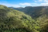 362 Boundary Creek Road, Bentley, NSW 2480-Image