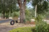 363 Meadowbrook Ramble, Bullsbrook, WA 6084-Image