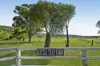 363 Round Mountain Road, Laravale, Qld 4285