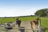 363 Round Mountain Road, Laravale, Qld 4285-Image