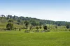 363 Round Mountain Road, Laravale, Qld 4285-Image