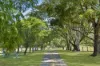 363 Round Mountain Road, Laravale, Qld 4285-Image