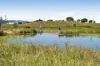363 Round Mountain Road, Laravale, Qld 4285-Image