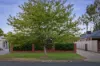 364 David Street, South Albury, NSW 2640-Image