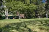 364 East Bank Road, Coramba, NSW 2450-Image