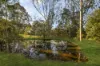 365 Moore Road, Kurwongbah, Qld 4503-Image