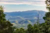 365 Ocean View Road, Ocean View, Qld 4521-Image