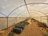 366 South River Road, Carnarvon WA 6701-Image