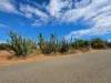 366 South River Road, Carnarvon WA 6701-Image