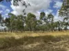 367 Airport Road, Monto, Qld 4630-Image
