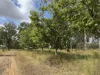 367 Airport Road, Monto, Qld 4630-Image