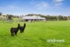 368 Queen Street, Elliminyt, Vic 3250-Image