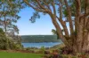 368 Western Avenue, Montville, Qld 4560-Image