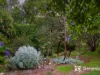 3680 Phillips Road, Mahogany Creek, WA 6072-Image