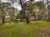 3690 Great Eastern Highway, Mahogany Creek, WA 6072-Image