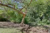 36A Hospital Road, Nambour, Qld 4560-Image