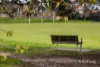 36A Myrniong Street, Glen Iris, Vic 3146-Image