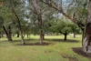 36C Towton Street, Redcliffe, WA 6104-Image