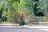 37-61 Forestry Road, Bluewater, Qld 4818-Image