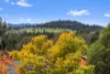 37 Acacia Drive, Muswellbrook, NSW 2333-Image