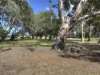 37 Akebia Way, Forrestfield, WA 6058-Image