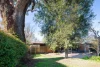 37 Andrews Street, Watson, ACT 2602-Image