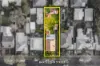 37 Barcelona Street, Box Hill VIC 3128-Image