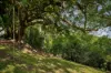 37 Bourke Lodge Drive, Currumbin Valley, Qld 4223-Image