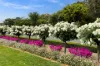 37 Brunswick Circuit, Kaleen, ACT 2617-Image