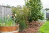 37 Bulwer Road, Moss Vale, NSW 2577-Image