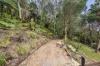 37 Cannes Drive, Avalon Beach, NSW 2107-Image