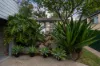 37 Cassandra Street, Chapel Hill QLD 4069-Image