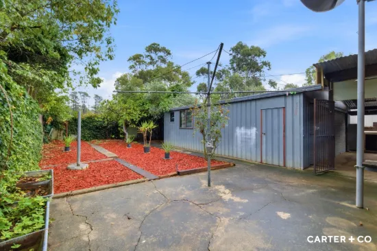 37 De Burgh Street, Lyneham, ACT 2602-Image