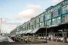 37 Dowling Street, Woolloomooloo, NSW 2011-Image