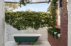 37 East Street, Guildford, WA 6055-Image