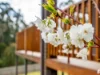 37 Eldridge Drive, Kingston, Tas 7050-Image