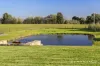 37 Esk Circuit, Maitland Vale, NSW 2320-Image