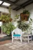 37 Francis Street, Hamilton, Vic 3300-Image